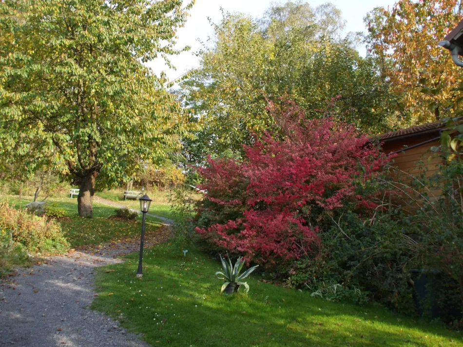 Campingplatz Platzermühle