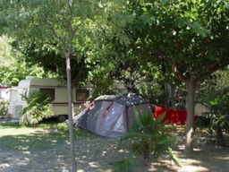 Kampeerplaats(en) - Standplaats Tent 60M² - Camping  L'Oasis Palavasienne