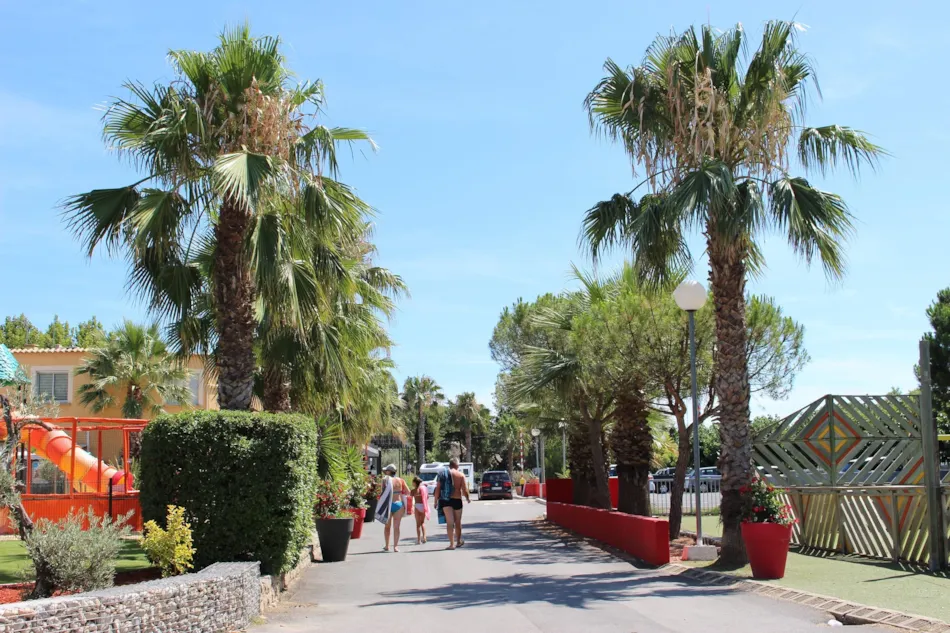 Camping  L'Oasis Palavasienne et Eden camping