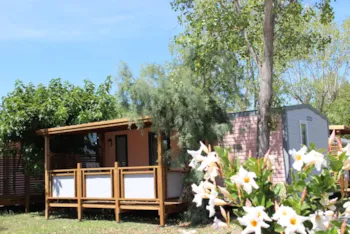 Mietunterkunft - Mobilheim Flamant - 2 Zimmer - Camping  L'Oasis Palavasienne et Eden camping