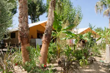 Mietunterkunft - Zeltbungalow Victoria - 30M² - Camping  L'Oasis Palavasienne et Eden camping