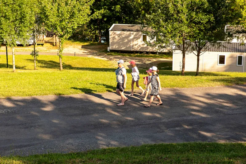 Mobil-Home Premium 29M² (2Chambres) + +Lv + Tv + Terrasse Semi-Couverte 6M² Vue Sur Le Lac