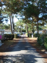 Foto #7 van Camping Les Préveils