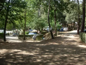 Stellplatz - Pauschale Stellplatz + 1 Fahrzeug + Dusche - Camping les Ramiers