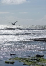 Foto #20 van Camping les Ramiers