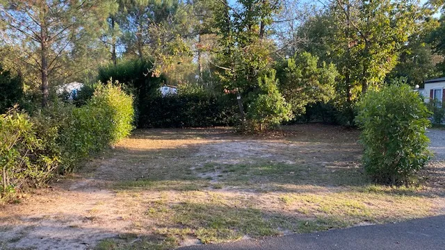 Emplacement : Voiture + Tente Ou Caravane + Électricité 16A