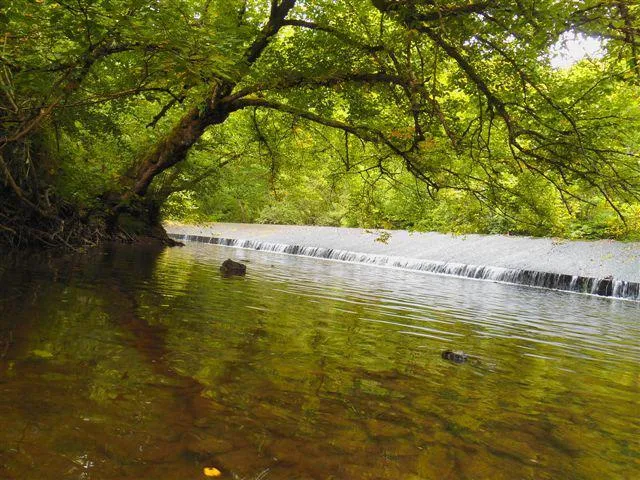 Flower Camping Val Vert en Berry - image n°28 - UniversalBooking