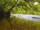 Camping Val Vert en Berry