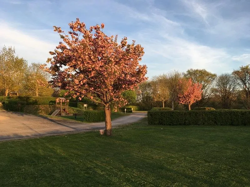 Emplacement De Camping Sans Électricité Pour Tente