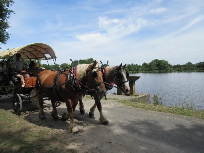 Flower Camping Val Vert en Berry
