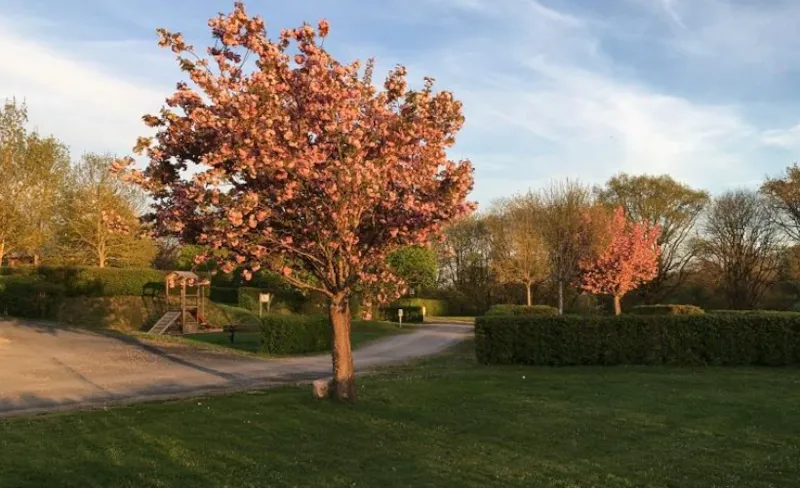 Forfait Randonneur Sans Électricité
