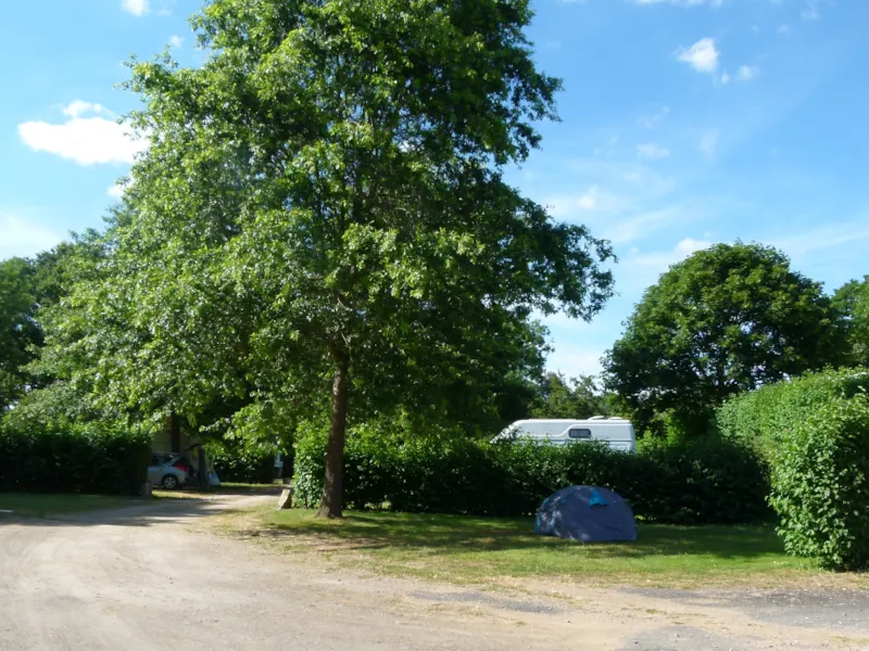 Forfait Privilège (Emplacement + Tente Ou Caravane Ou Voiture) Avec Électrcité Et Eau