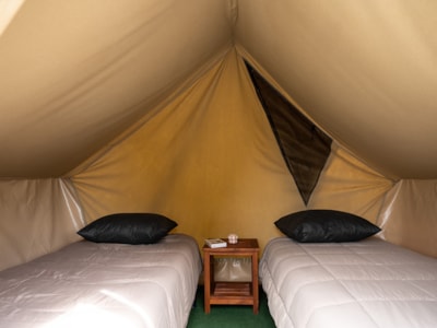 Lodge Standard Tent - 1 bedroom - without bathroom + terrace