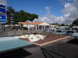 Camping L'Albizia - image n°11 - Roulottes