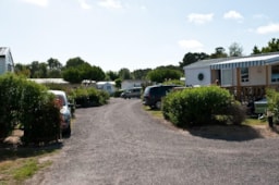 Camping L'Albizia - image n°19 - Roulottes