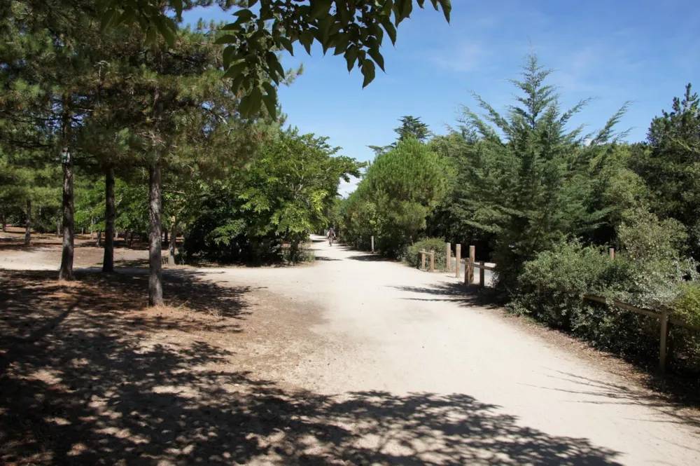 Camping L'Albizia