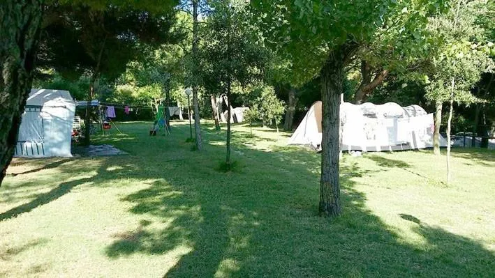 Camping Paradiso - image n°1 - Ucamping