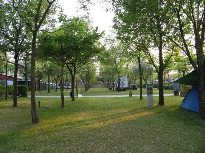 Emplacement  B + 1 Voiture + Tente Ou Caravane + Électricité 6,3A + Digital Tv+ Raccordement Eau Courante / Évacuation