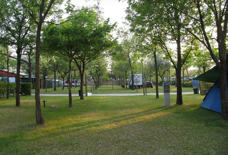 Emplacement  Bplus + 1 Voiture + Tente Ou Caravane + Électricité 6A + Raccordement Eau Courante / Évacuation