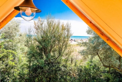 Safari Lodge — 3