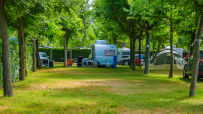Pitch B-Happy + car + tent or caravan + electricity 8A + digital TV + water and drainage point — 1
