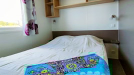 CALIFORNIA. STANDARD