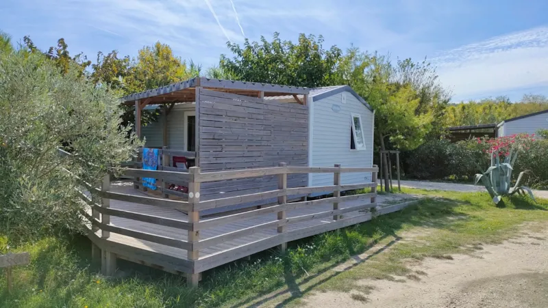 Idaho. Standard (Pmr)