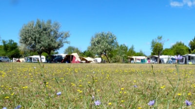 Pitch for tent, camper or caravan