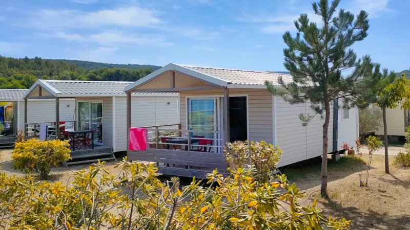 California. Standard