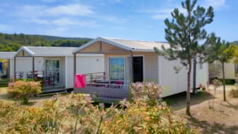 CALIFORNIA. STANDARD