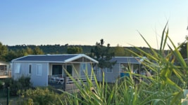 CALIFORNIA. STANDARD