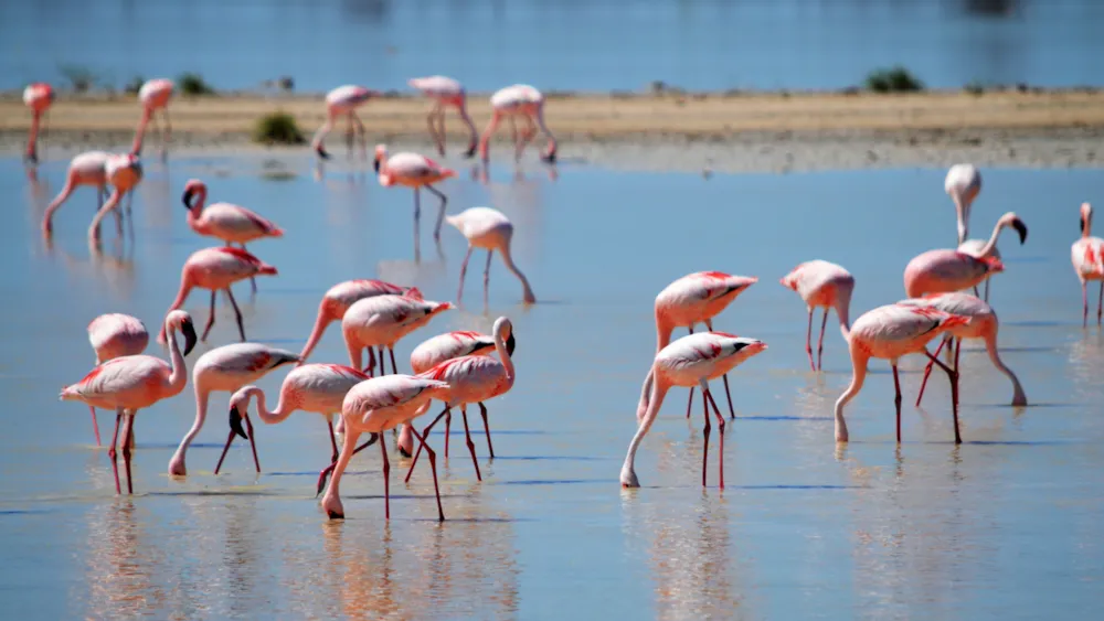 Camping Tikayan Félix de la Bastide - image n°51 - UniversalBooking