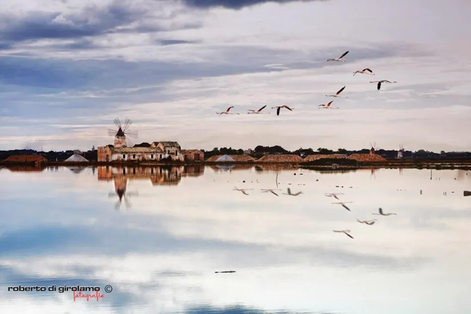 LILYBEO VILLAGE   Camping&Residence