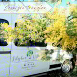 Foto #36 van LILYBEO VILLAGE   Camping&Residence