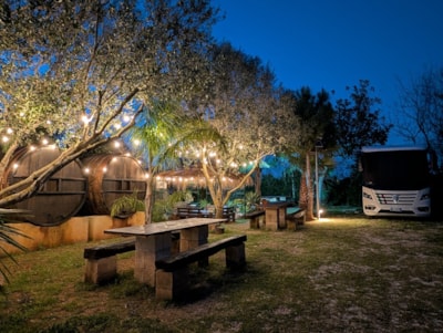 Pitch for Camper/ Caravan