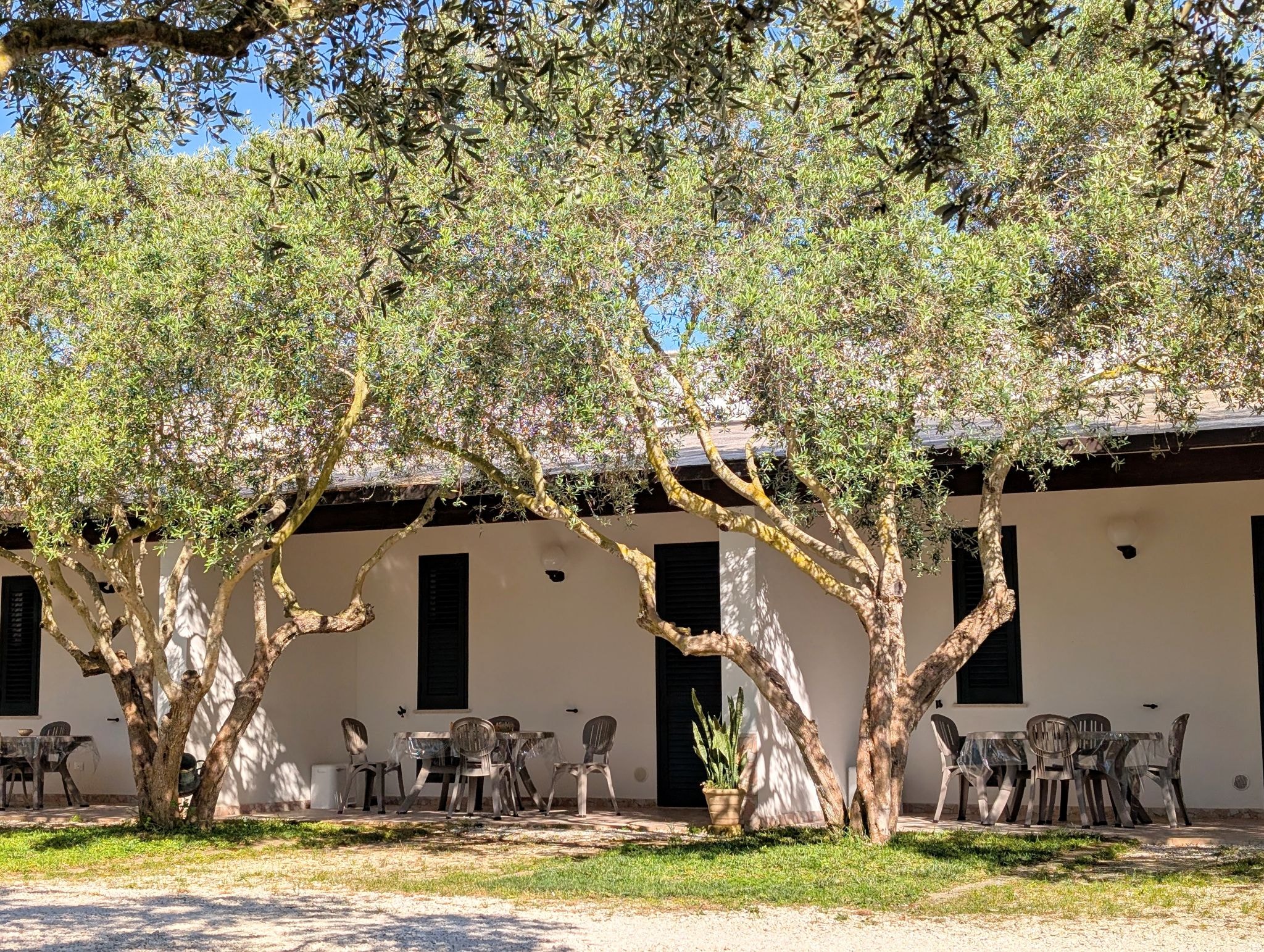 Lilybeo Village Camping & Residence — Photo 5