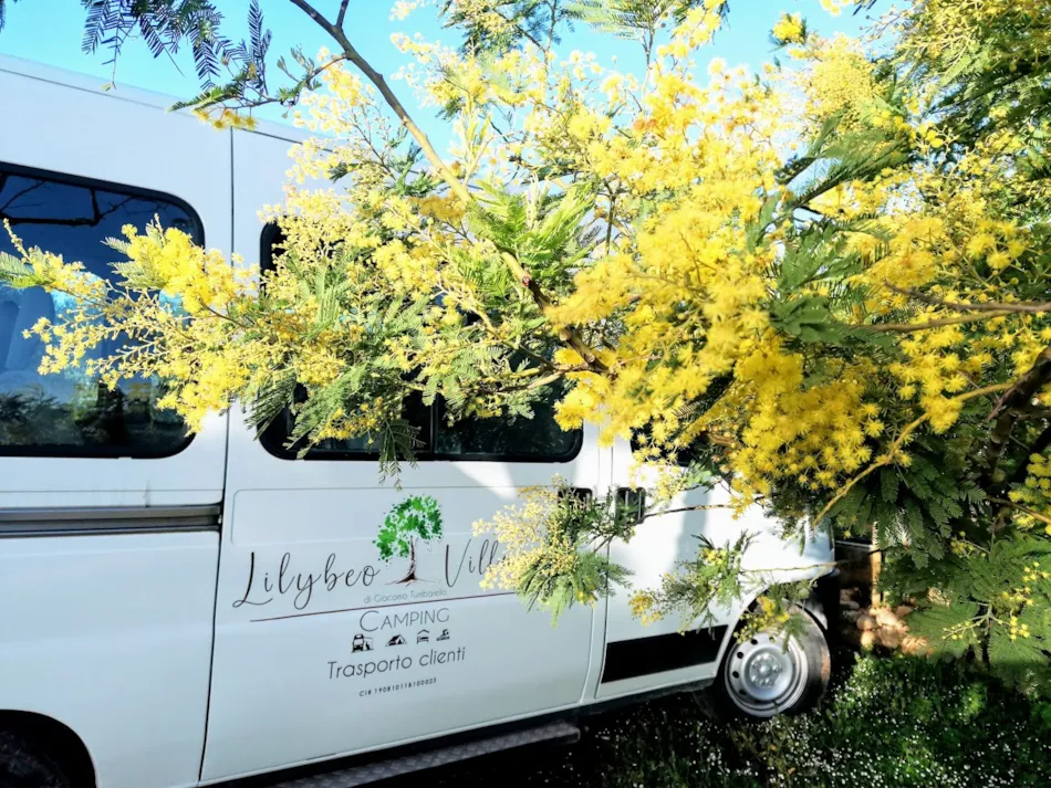 Lilybeo Village Camping & Residence