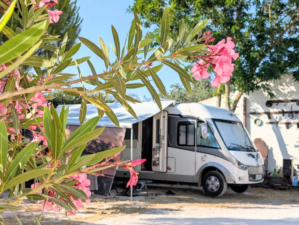 Lilybeo Village Camping & Residence - image n°2 - UniversalBooking