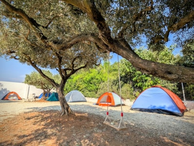 Lilybeo Village Camping & Residence