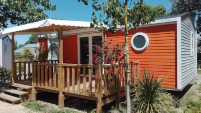 Cottage PITAYA - 28m² - Half-covered terrace - 2 bedrooms — 6