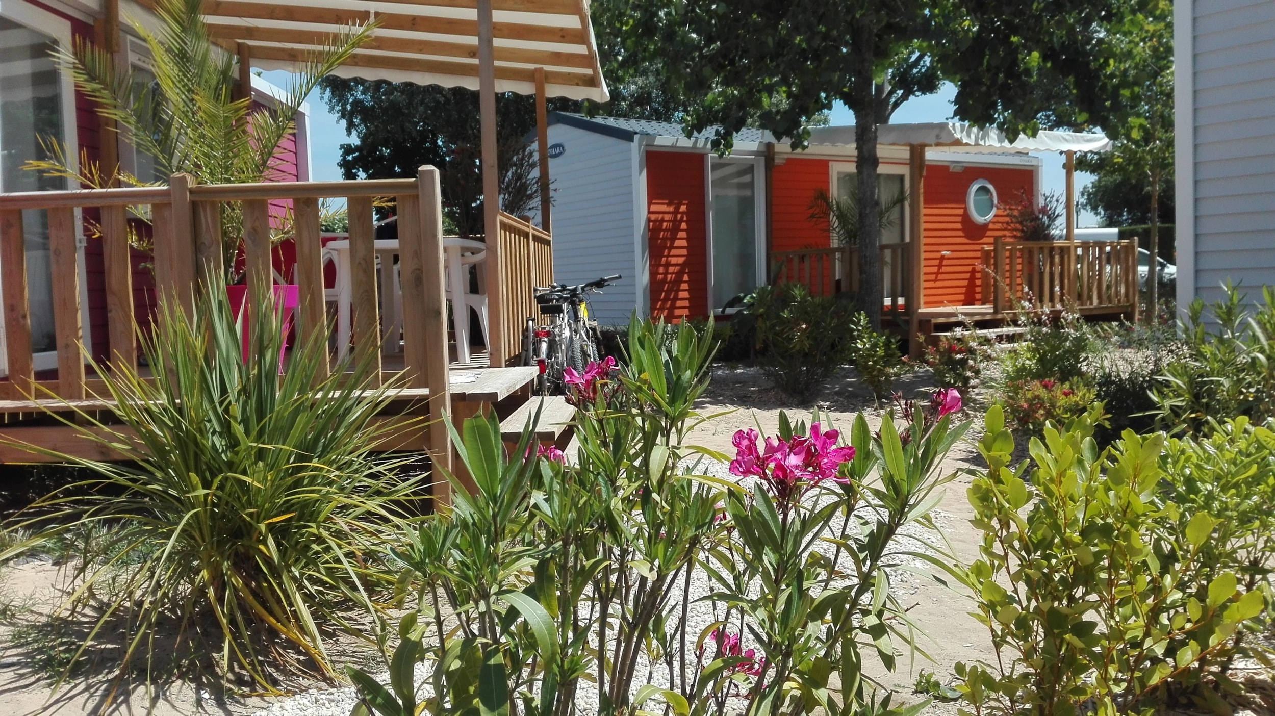 Camping Le Bois Verdon — Foto 8