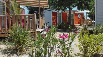 Camping Le Bois Verdon