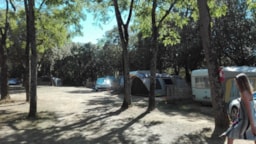 Camping Le Bois Verdon - image n°4 - Roulottes