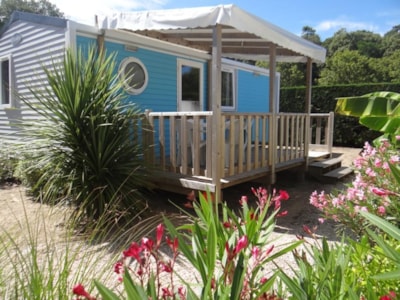 Cottage LITCHI - 26m² - Half-covered terrace - 2 bedrooms — 6