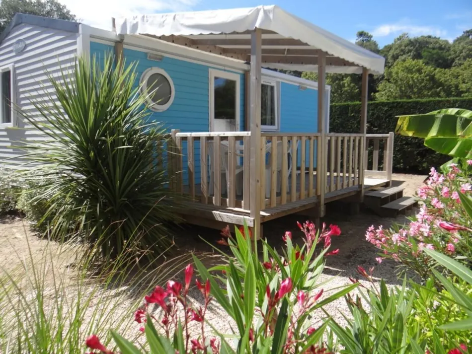 Camping Le Bois Verdon