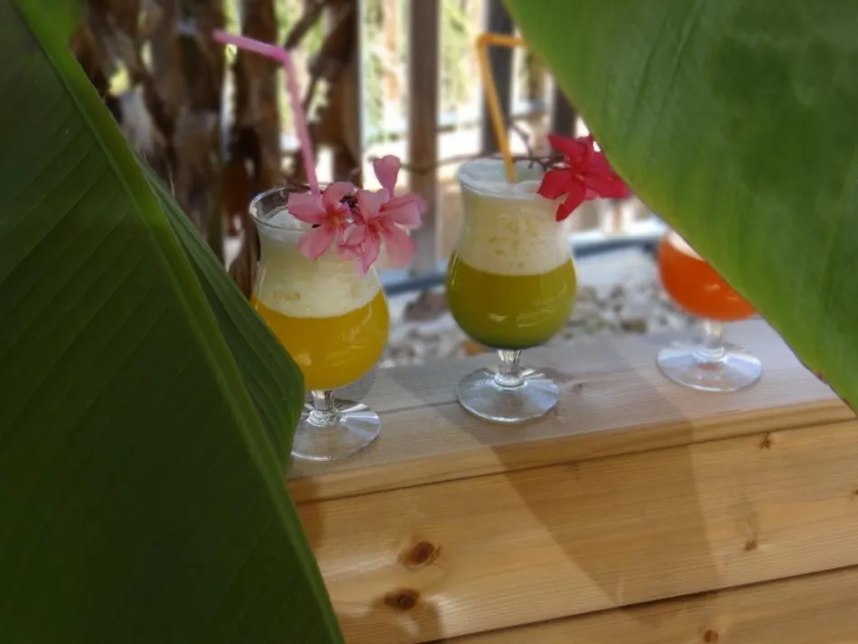 Camping Le Bois Verdon