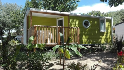 Cottage GOYAVE - 25m² - Half-covered terrace - 2 bedrooms — 3