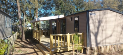 Cottage PREMIUM "TERRE et DUNE" - 32m² - Half-covered terrace - 2 bedrooms - New 2024 — 2