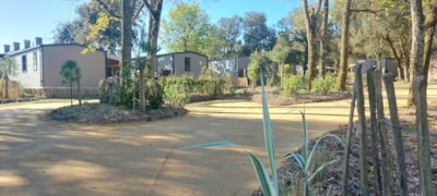 Cottage PREMIUM "TERRE et FORET" - 35m² - Half-covered terrace - 3 bedrooms - New 2024 — 9