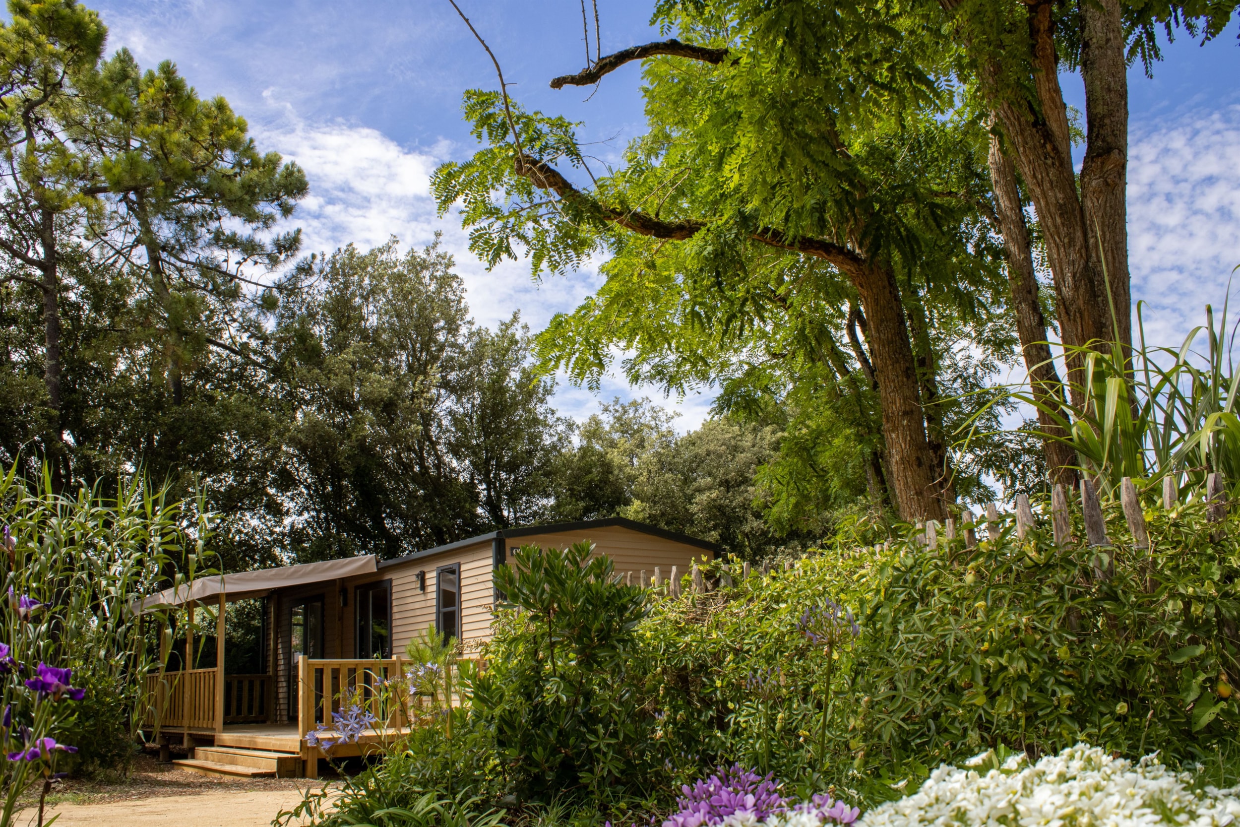 Camping Le Bois Verdon — Foto 7